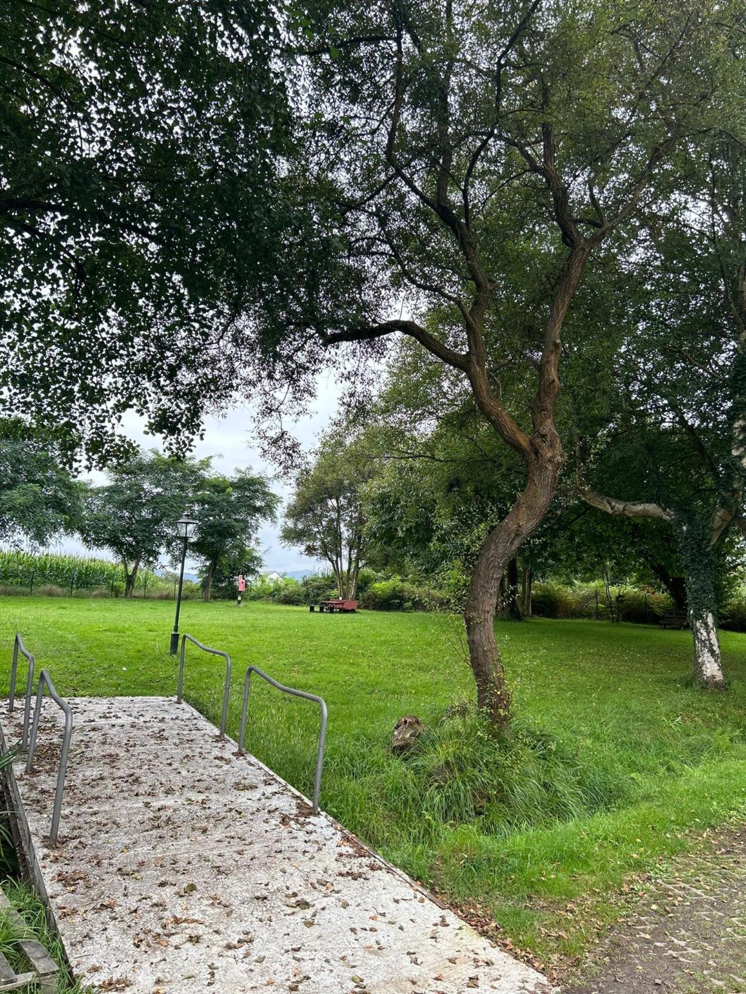 Camping A Grandella El Franco Kültér fotó