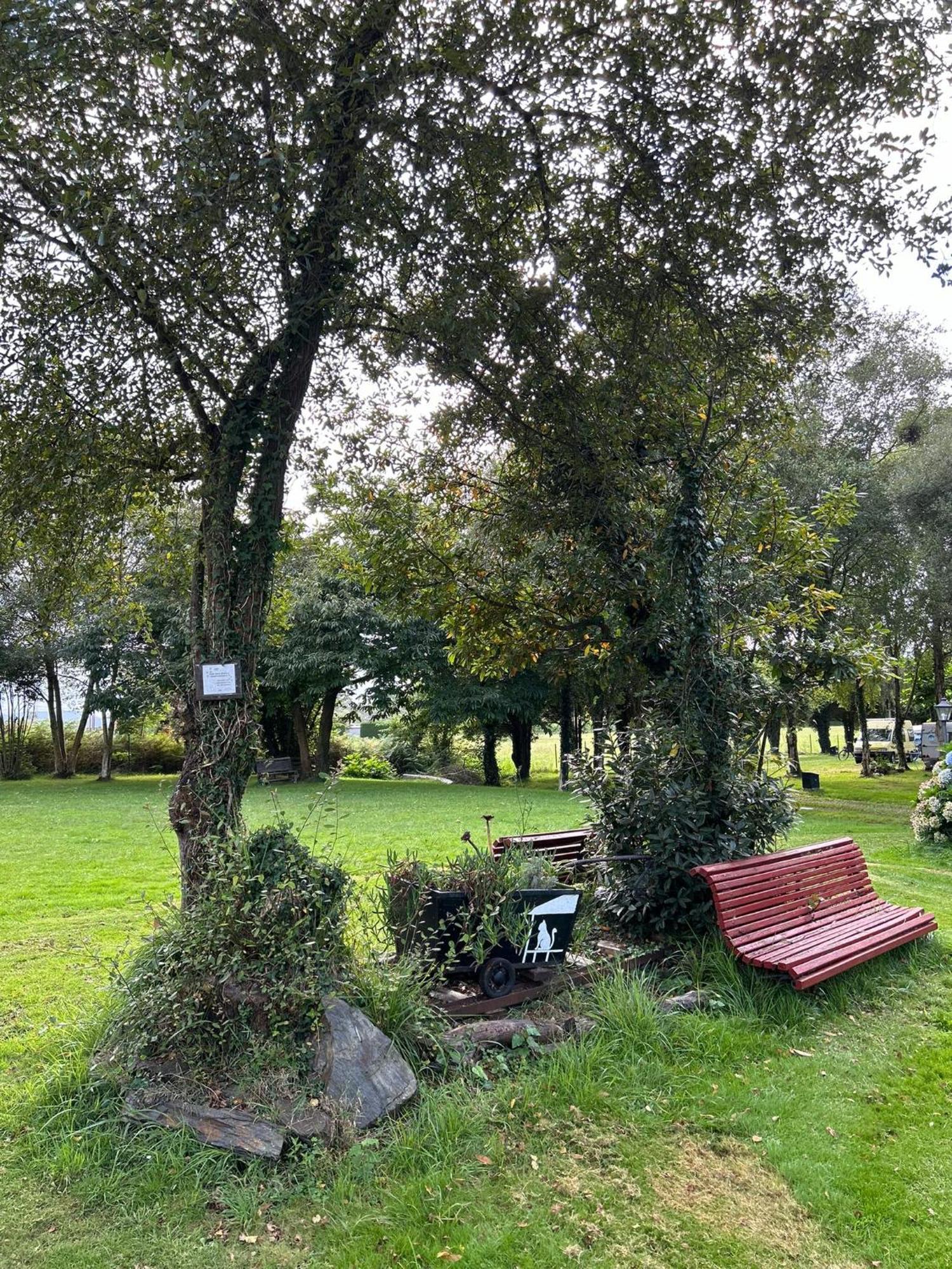Camping A Grandella El Franco Kültér fotó